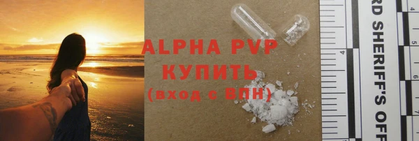 сатива Волоколамск