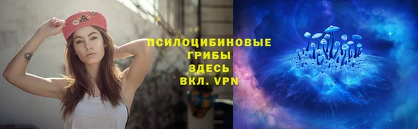 бошки Вязьма