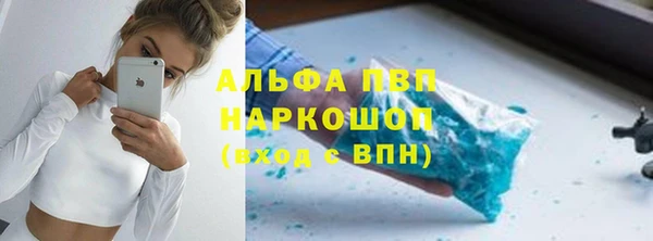 сатива Волоколамск