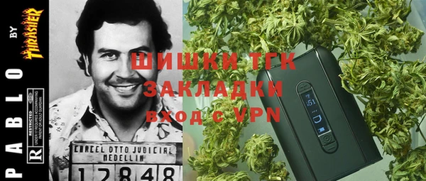 сатива Волоколамск