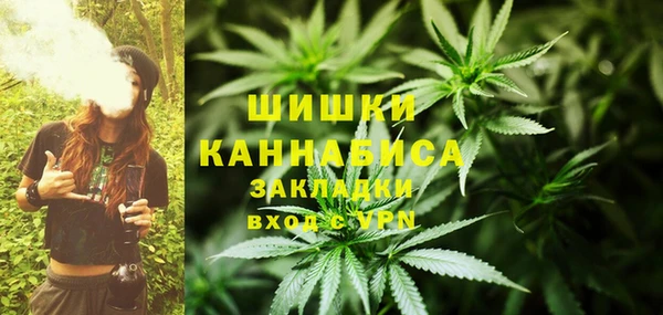 сатива Волоколамск